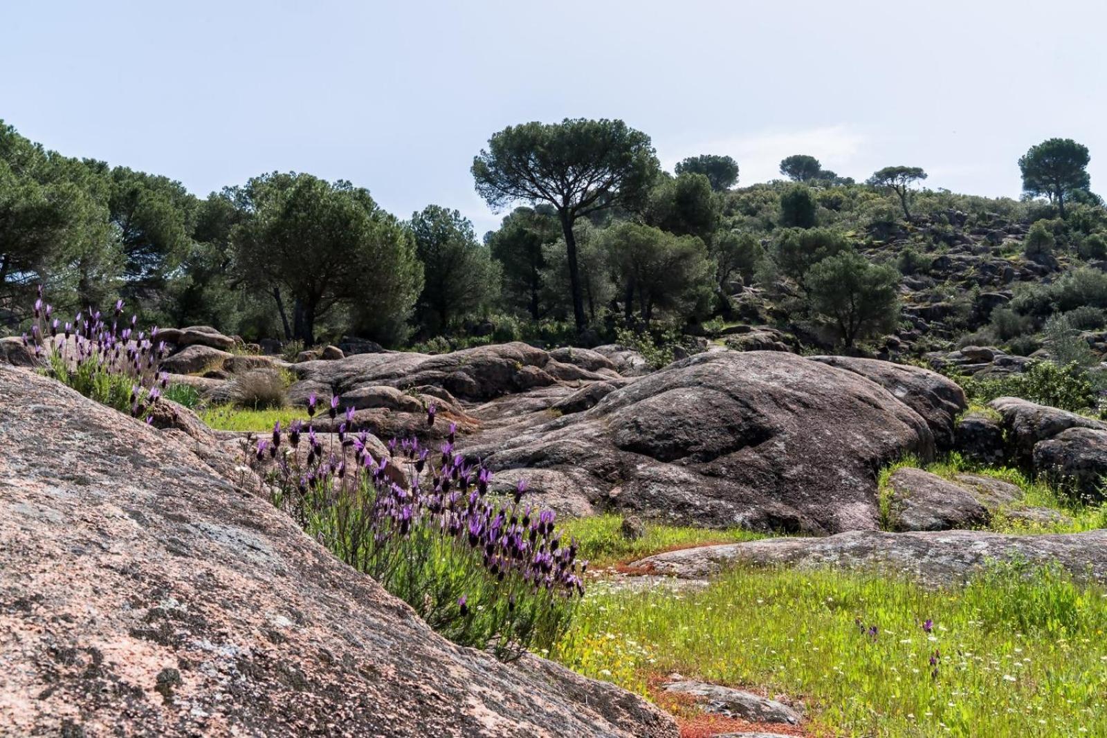 Casa El Paraiso Del Lago Alojamiento Rural กอร์โดบา ภายนอก รูปภาพ